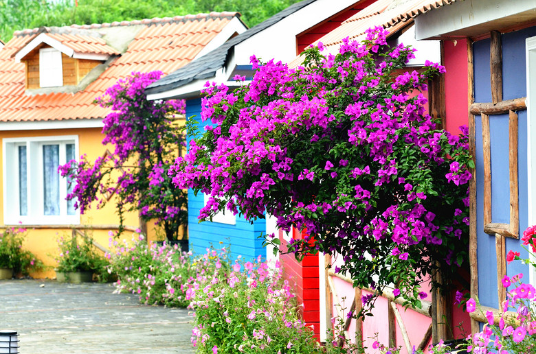 ��2014�����컨�Ⱦ�ѡͼ��II��