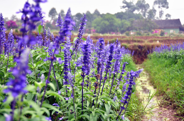 ��2014�����컨�Ⱦ�ѡͼ��IV��