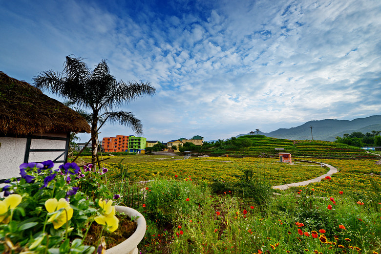 ��2014�����컨�Ⱦ�ѡͼ��II��