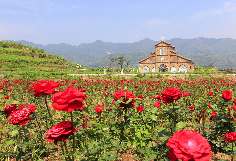 ��2014�����컨�Ⱦ�ѡͼ��II��