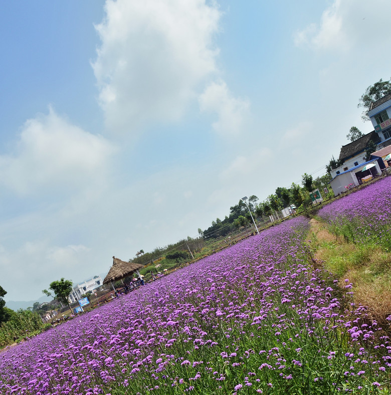 ��2014�����컨�Ⱦ�ѡͼ��I��