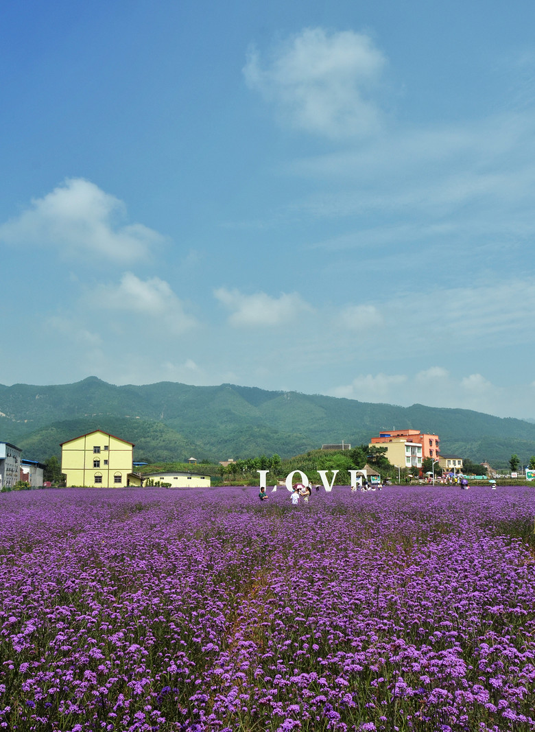 ��2014�����컨�Ⱦ�ѡͼ��I��