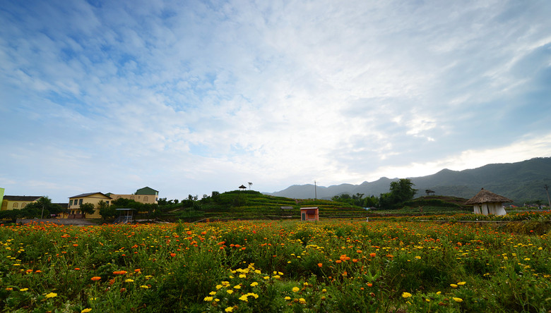 ��2014�����컨�Ⱦ�ѡͼ��II��