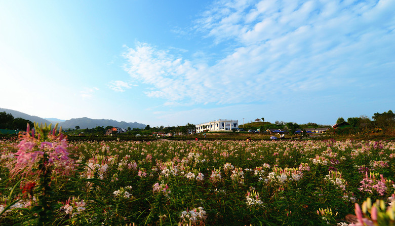 ��2014�����컨�Ⱦ�ѡͼ��II��