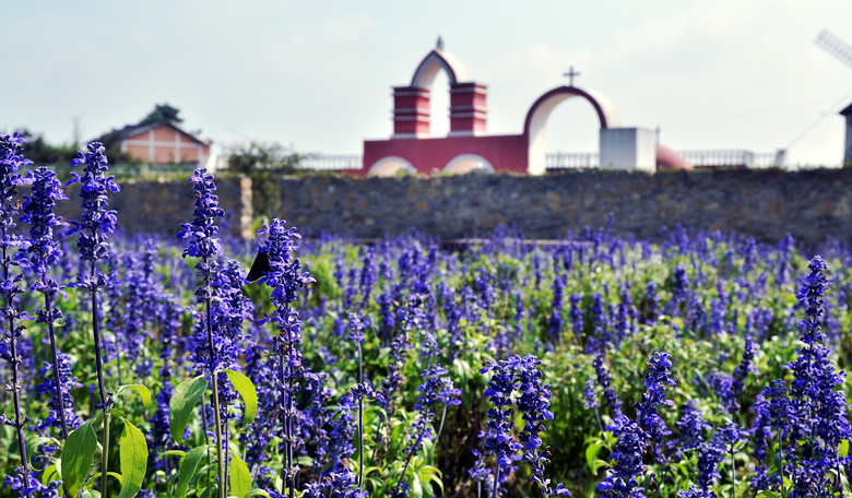 ��2014�����컨�Ⱦ�ѡͼ��I��