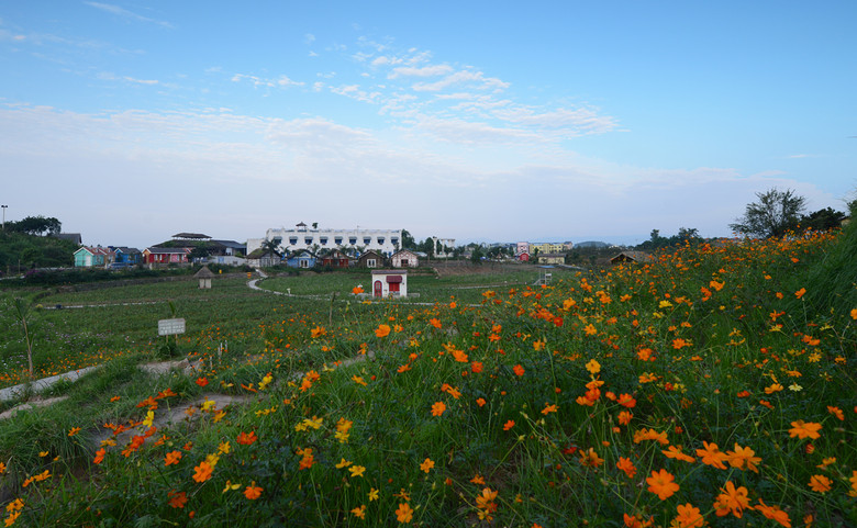 ��2014�����컨�Ⱦ�ѡͼ��IV��