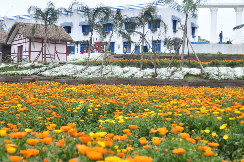 ��2014�����컨�Ⱦ�ѡͼ��VII��