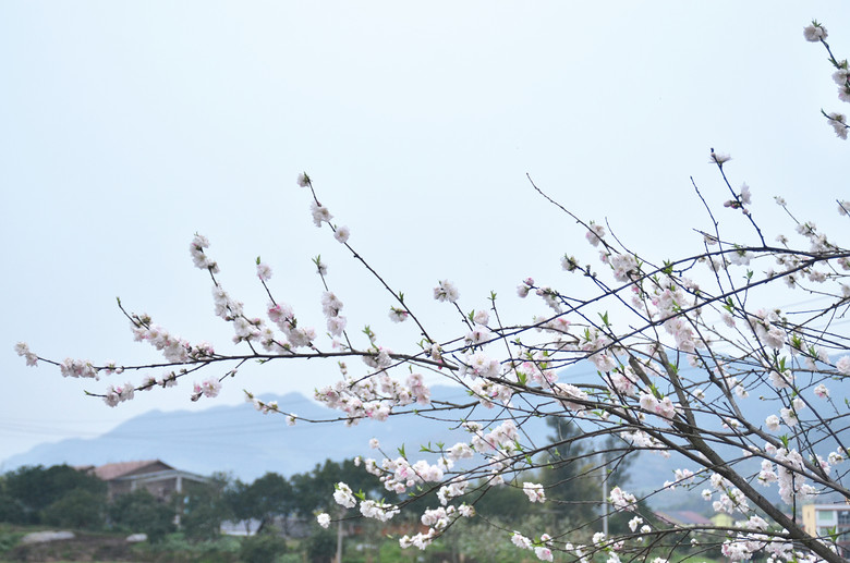 ��2014�����컨�Ⱦ�ѡͼ��VII��