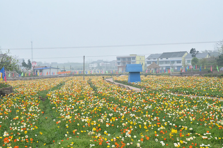 ��2014�����컨�Ⱦ�ѡͼ��VII��