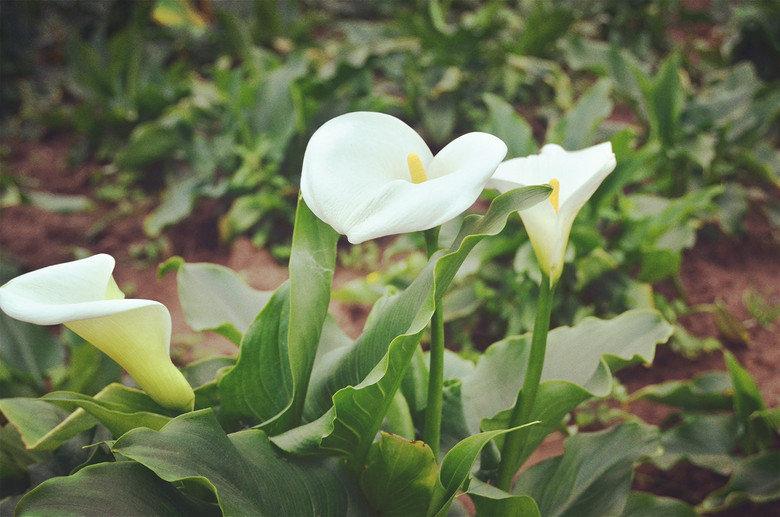 ��2014�����컨�Ⱦ�ѡͼ��VII��