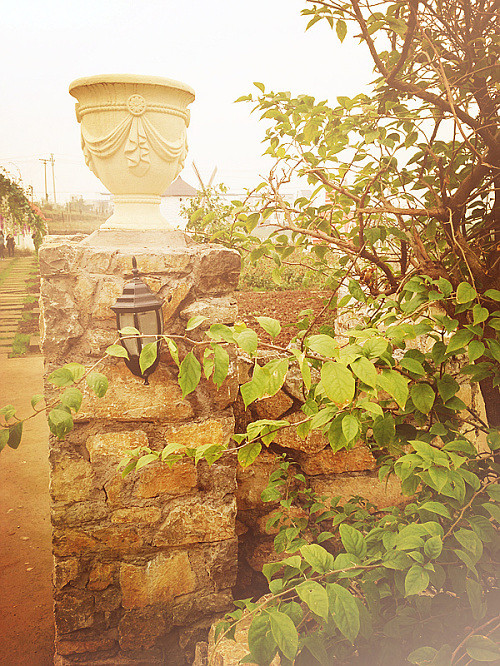 ��2014�����컨�Ⱦ�ѡͼ��IV��