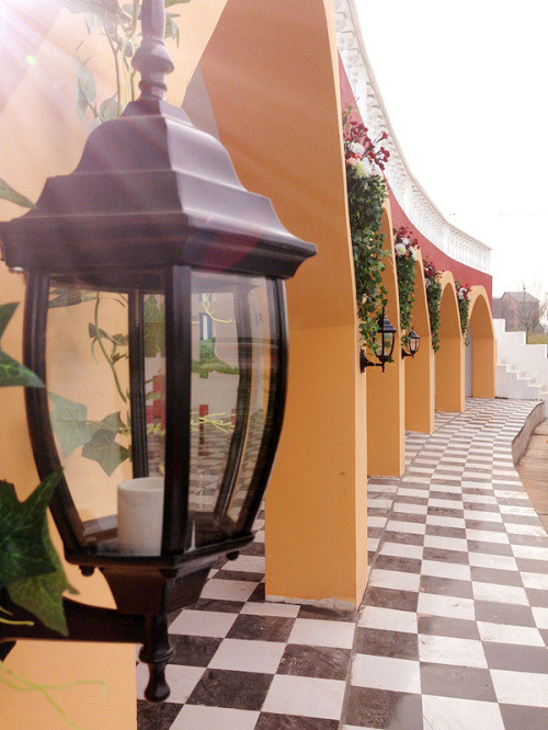 ��2014�����컨�Ⱦ�ѡͼ��IV��