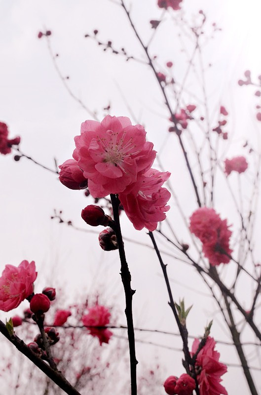 ��2014�����컨�Ⱦ�ѡͼ��VII��