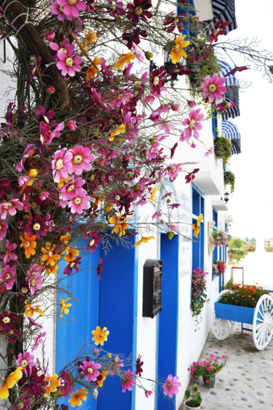 ��2014�����컨�Ⱦ�ѡͼ��IV��