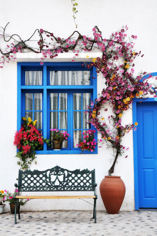 ��2014�����컨�Ⱦ�ѡͼ��IV��