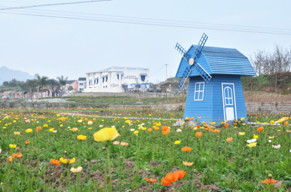 ��2014�����컨�Ⱦ�ѡͼ��IV��