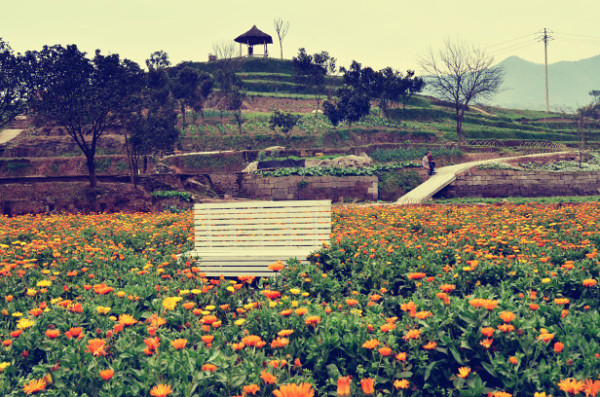 ��2014�����컨�Ⱦ�ѡͼ��IV��