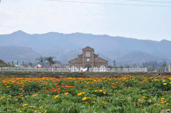 ��2014�����컨�Ⱦ�ѡͼ��IV��