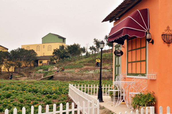 ��2014�����컨�Ⱦ�ѡͼ��IV��