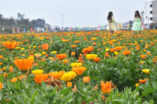 ��2014�����컨�Ⱦ�ѡͼ��VI��