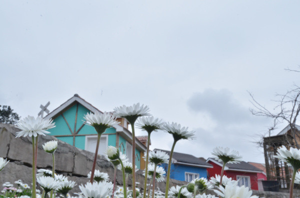 ��2014�����컨�Ⱦ�ѡͼ��VI��