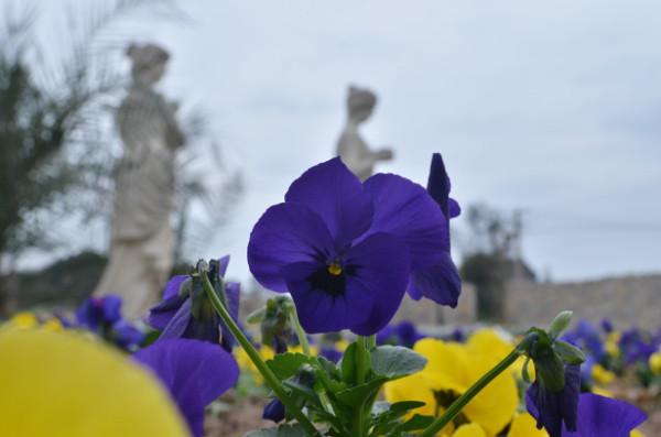 ��2014�����컨�Ⱦ�ѡͼ��VI��