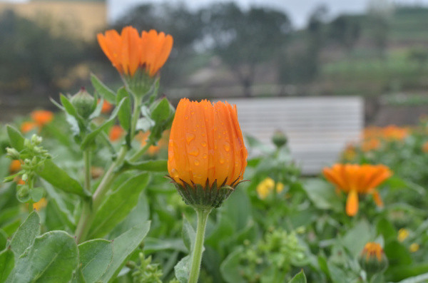 ��2014�����컨�Ⱦ�ѡͼ��VII��