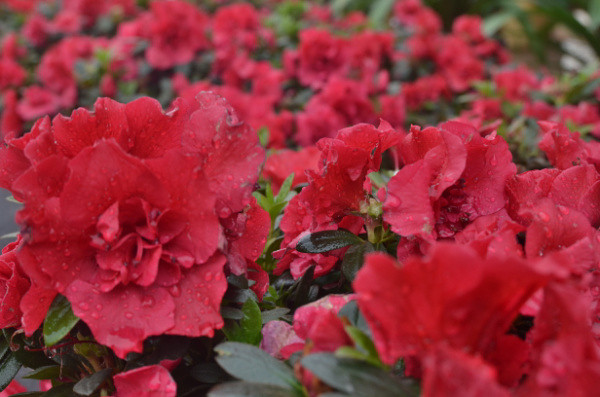 ��2014�����컨�Ⱦ�ѡͼ��VII��