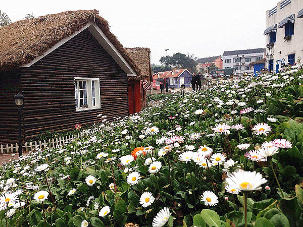 ��2014�����컨�Ⱦ�ѡͼ��IV��