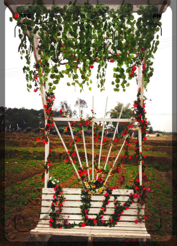 ��2014�����컨�Ⱦ�ѡͼ��IV��