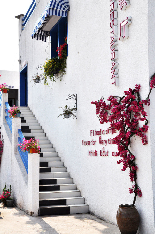 ��2014�����컨�Ⱦ�ѡͼ��IV��