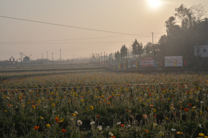 ��2014�����컨�Ⱦ�ѡͼ��VII��