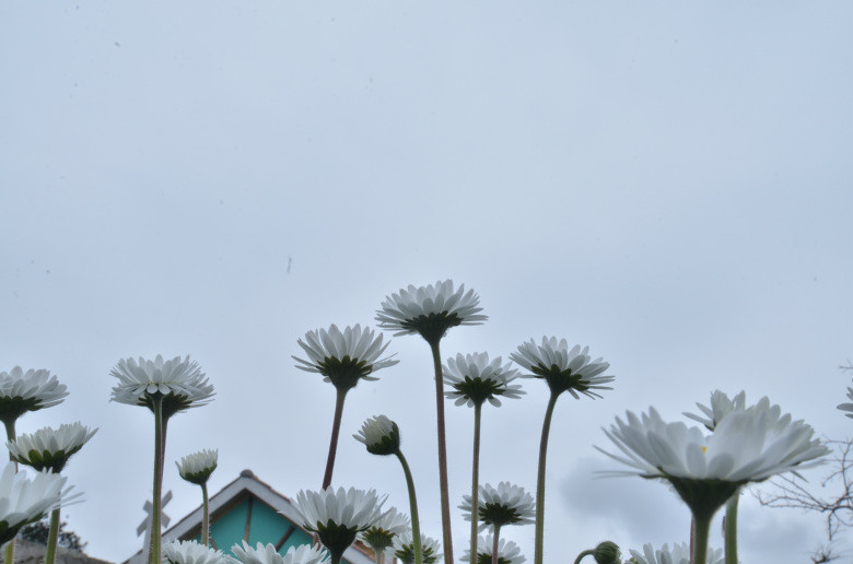 ��2014�����컨�Ⱦ�ѡͼ��VII��