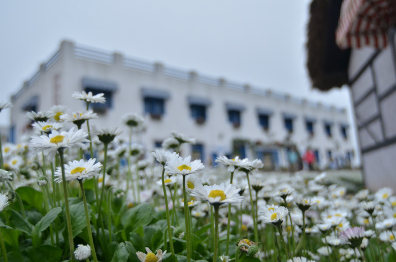 ��2014�����컨�Ⱦ�ѡͼ��VII��