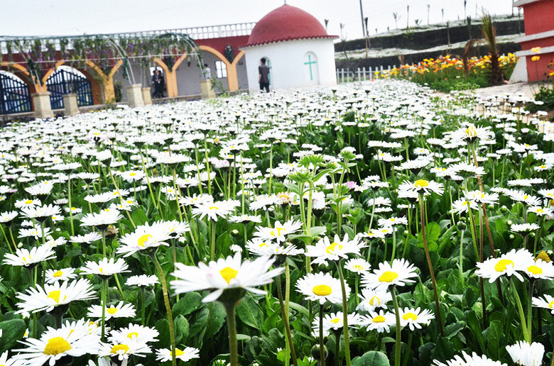 ��2014�����컨�Ⱦ�ѡͼ��VII��