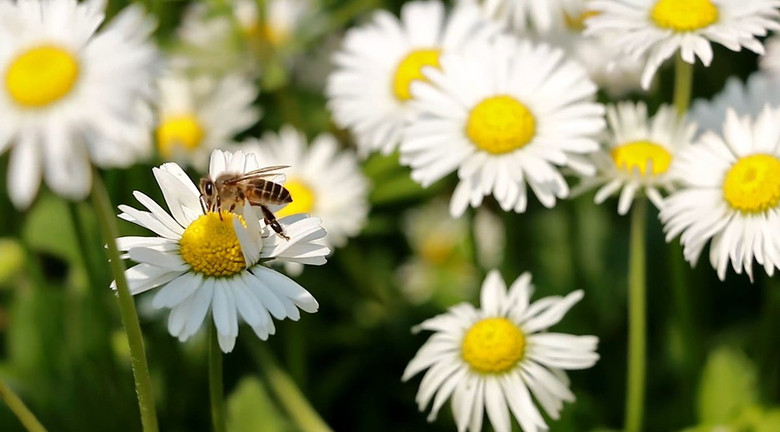 ��2014�����컨�Ⱦ�ѡͼ��VIII��