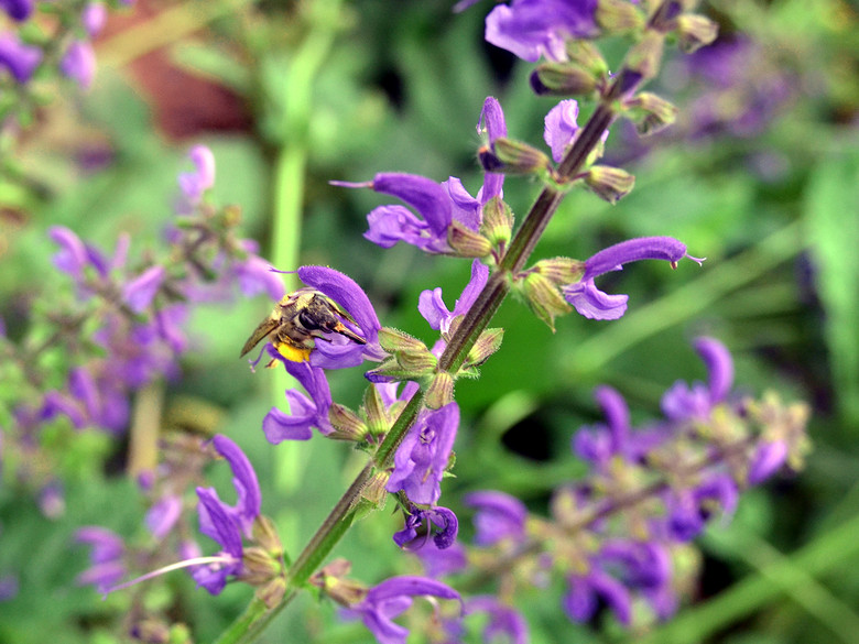 ��2014�����컨�Ⱦ�ѡͼ��VIII��