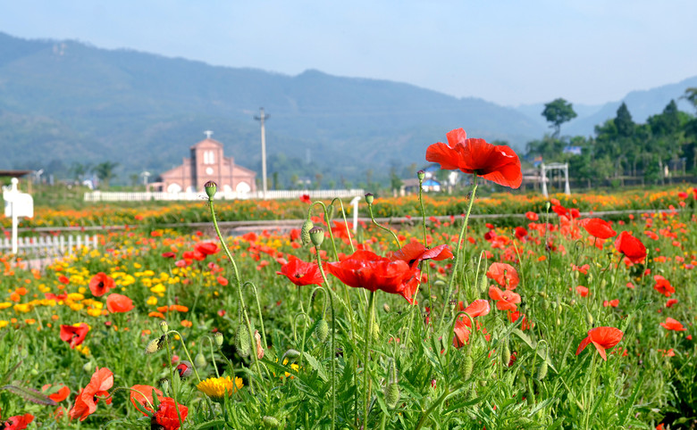 ��2014�����컨�Ⱦ�ѡͼ��VIII��