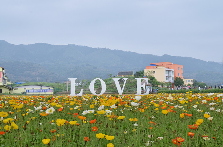 ��2014�����컨�Ⱦ�ѡͼ��VIII��