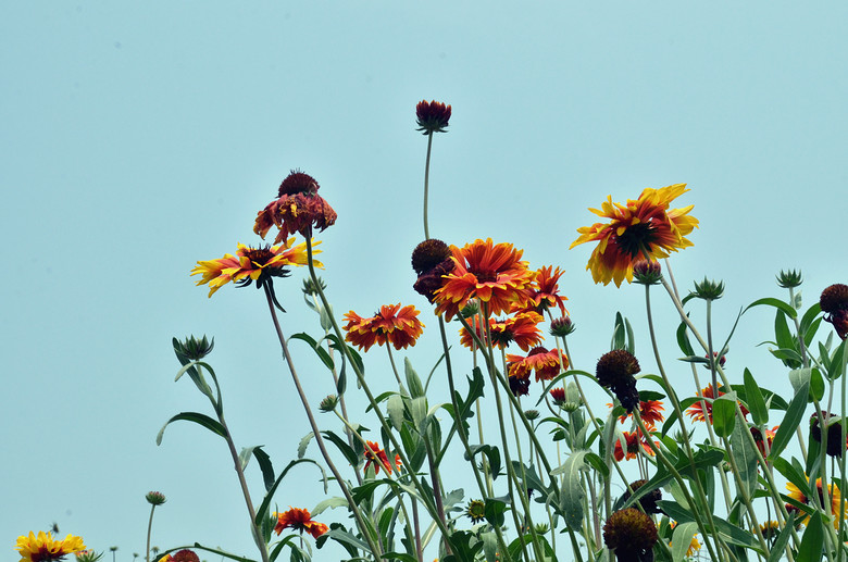 ��2014�����컨�Ⱦ�ѡͼ��VIII��