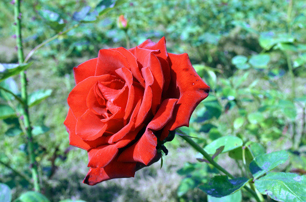 ��2014�����컨�Ⱦ�ѡͼ��VIII��