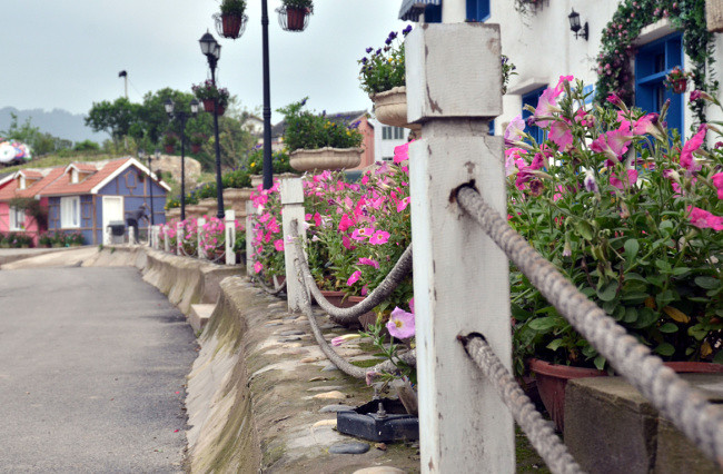 ��2014�����컨�Ⱦ�ѡͼ��VIII��