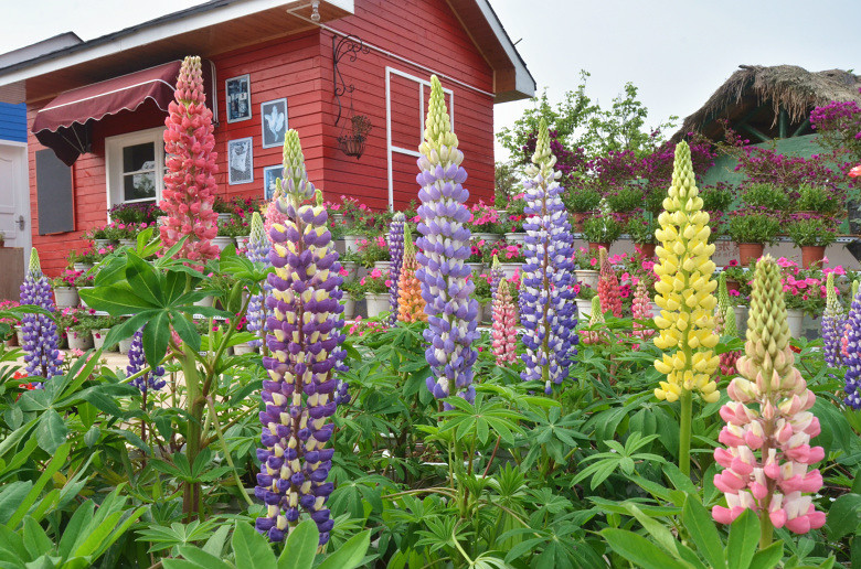 ��2014�����컨�Ⱦ�ѡͼ��VIII��