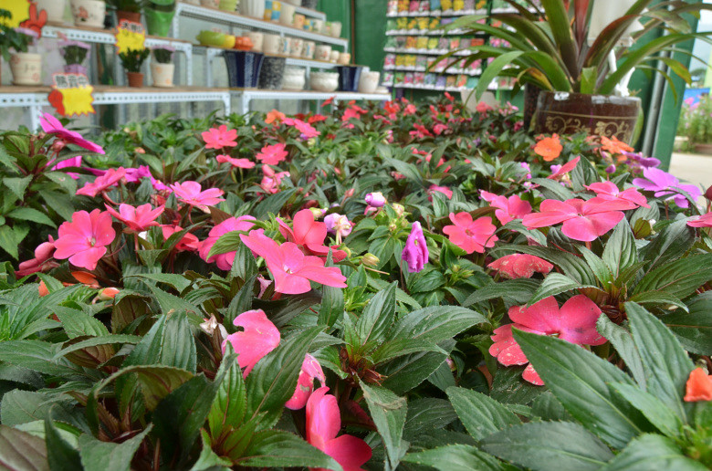 ��2014�����컨�Ⱦ�ѡͼ��VIII��