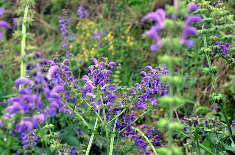 ��2014�����컨�Ⱦ�ѡͼ��VIII��