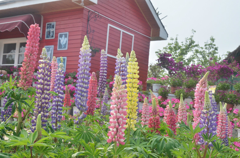 ��2014�����컨�Ⱦ�ѡͼ��VIII��