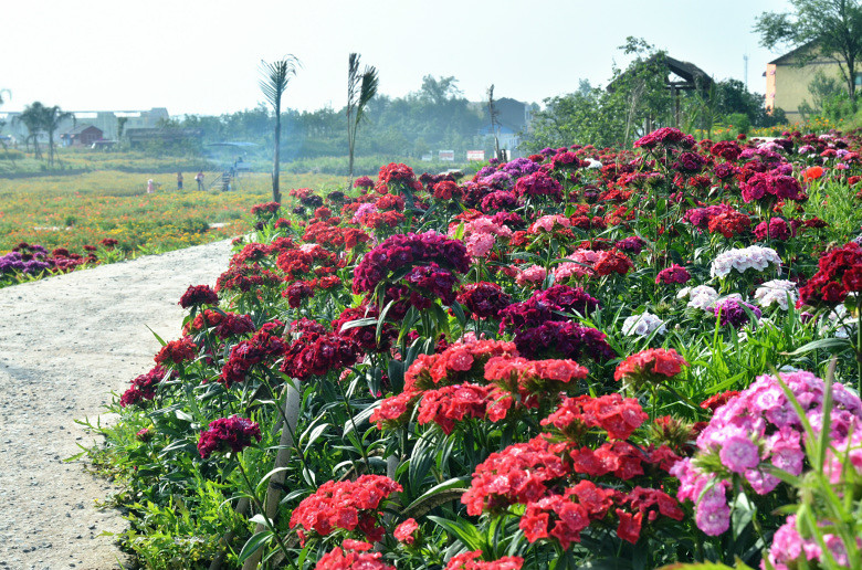 ��2014�����컨�Ⱦ�ѡͼ��VIII��