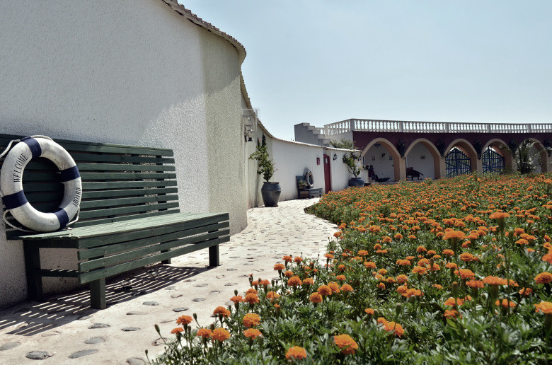 ��2014�����컨�Ⱦ�ѡͼ��IX��