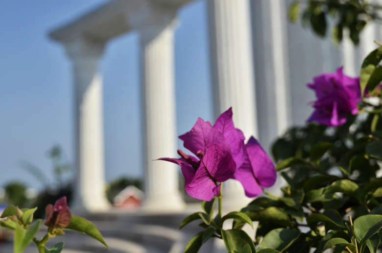 ��2014�����컨�Ⱦ�ѡͼ��IX��