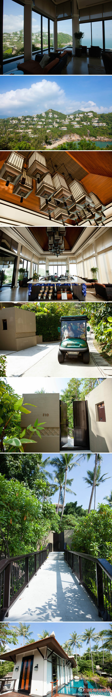 ̩����÷����ɫ�Ƶ���ͼ����